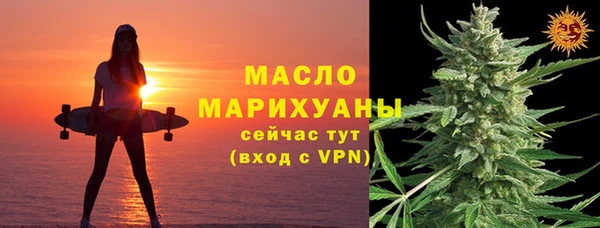 амф Верхний Тагил
