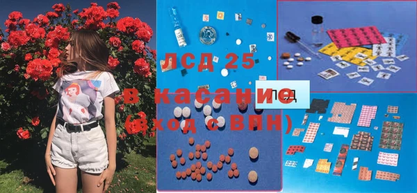 амф Верхний Тагил