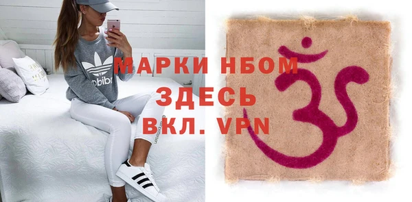 амф Верхний Тагил