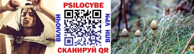 наркошоп  Инза  мориарти формула  Галлюциногенные грибы прущие грибы 
